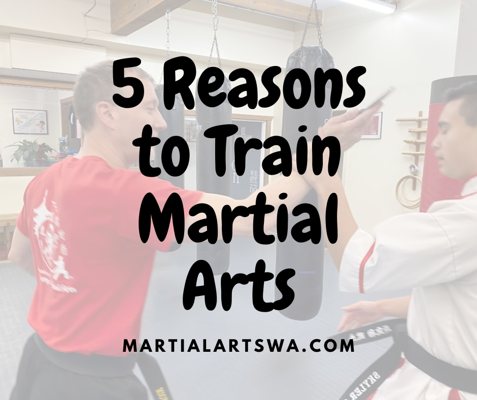 5 Reasons to Train Martial Arts