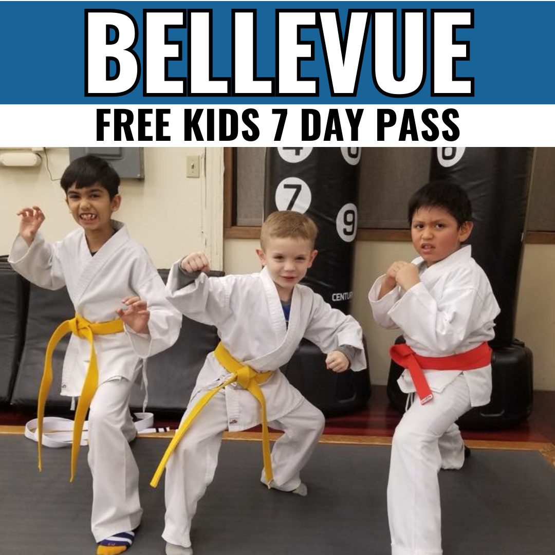 bellevue academy of kempo martial arts 7 day pass kids karate