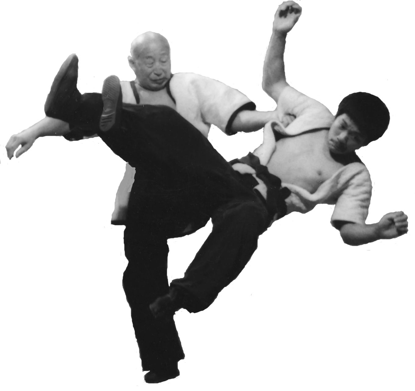 kung fu grappling image