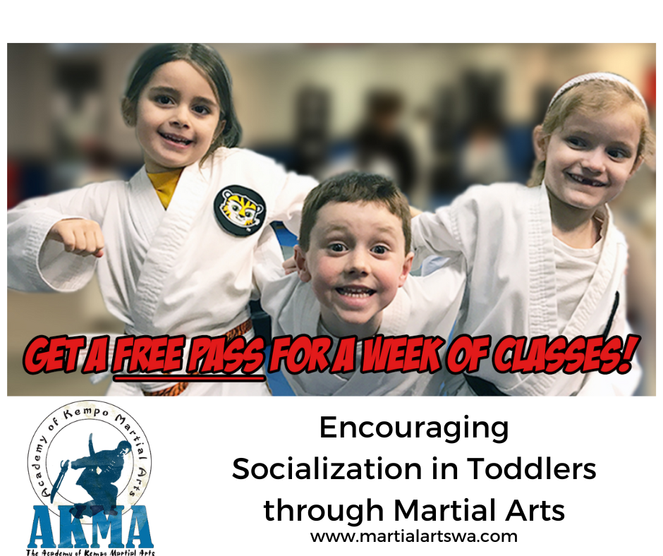 academy of kempo martial arts school Encouraging Socialization in Toddlers through Martial Arts