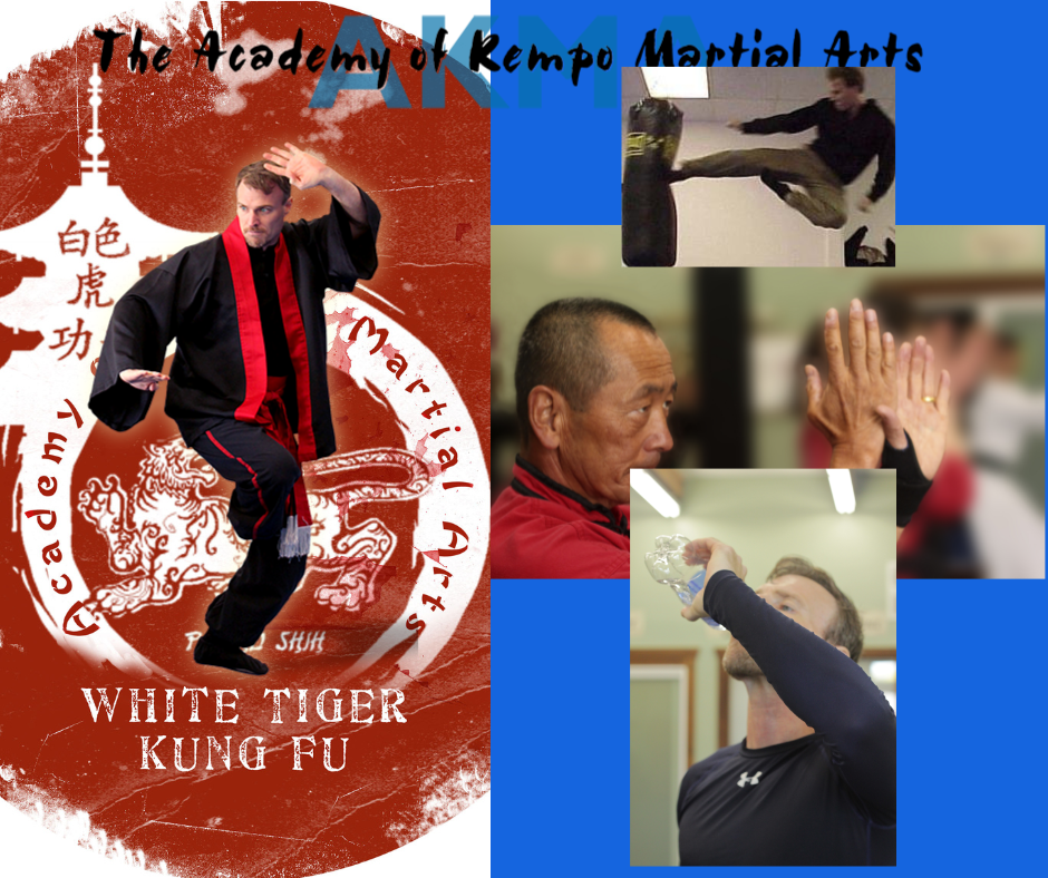 kung fu near you academy of kempo martial arts school