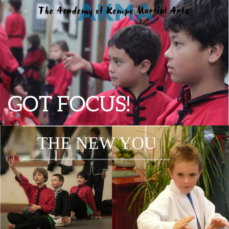 martial arts teaches focus akma schools