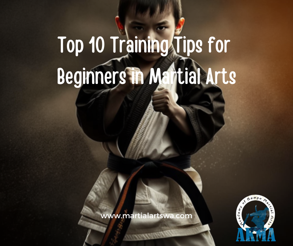 academy of kempo martial arts guide to beginners in karate