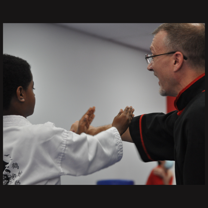 private martial arts lessons image 2