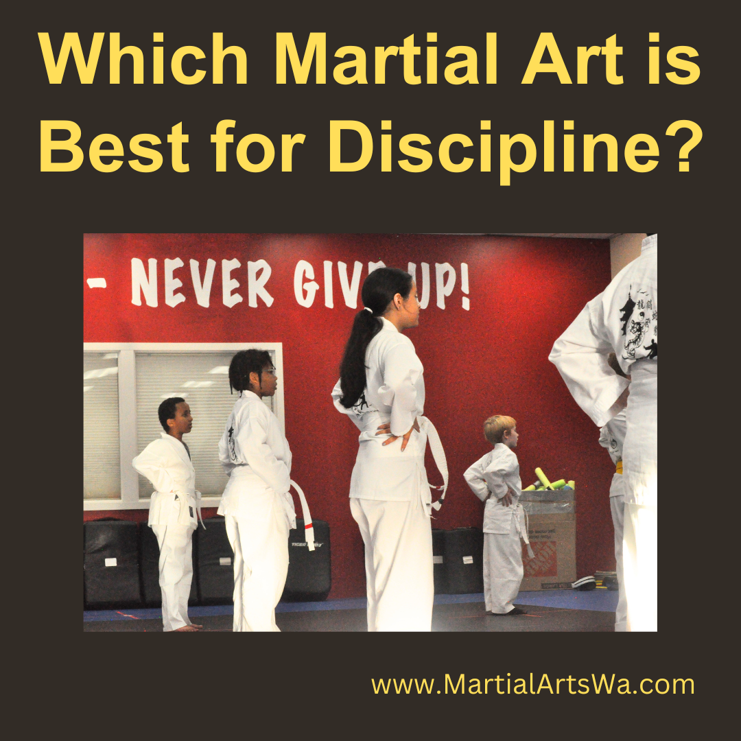 academy of martial arts school discipline kids