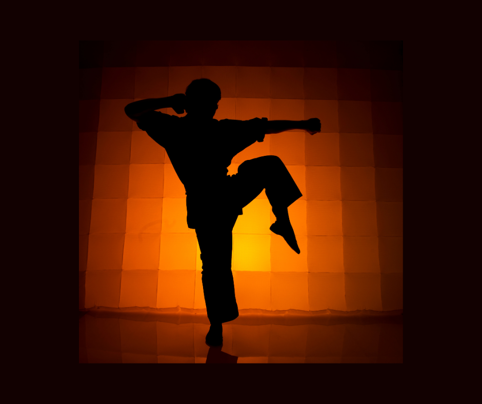 Martial artist silhouette in action, blended with diverse martial arts disciplines and a backdrop of a traditional dojo