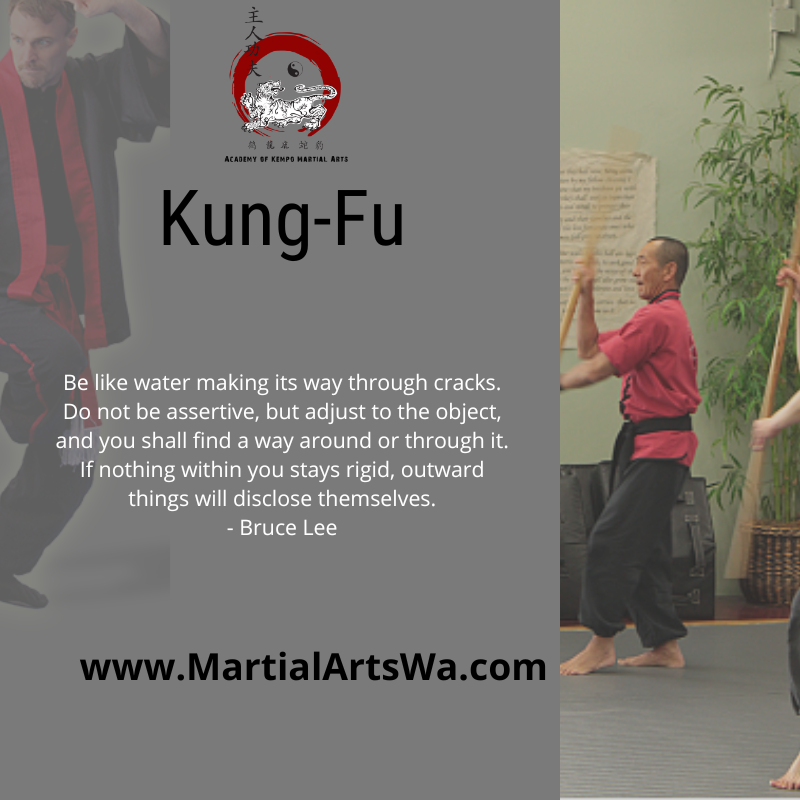 kung fu guide image academy of kempo martial arts school