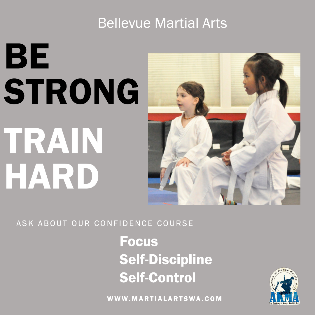 Bellevue Martial Arts Kids Karate Class imag