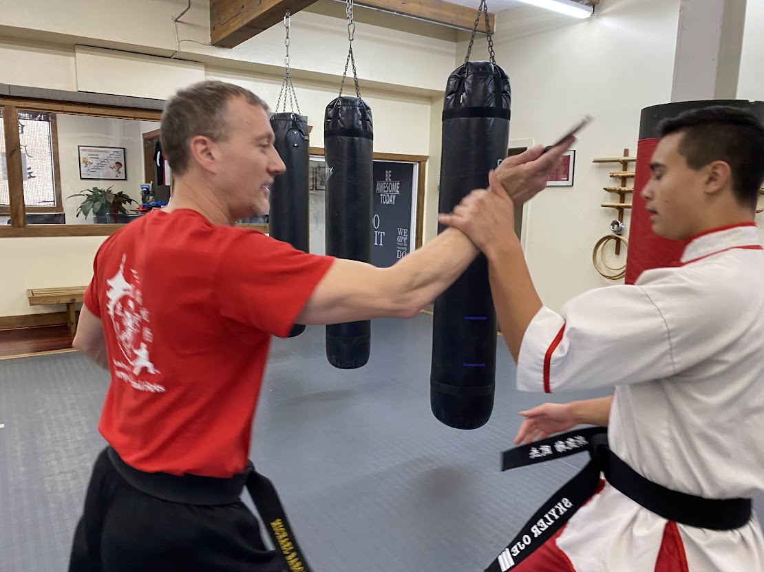 Bellevue Martial Arts Training with a Partner 