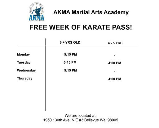 Karate Free Trial Pass Bellevue
