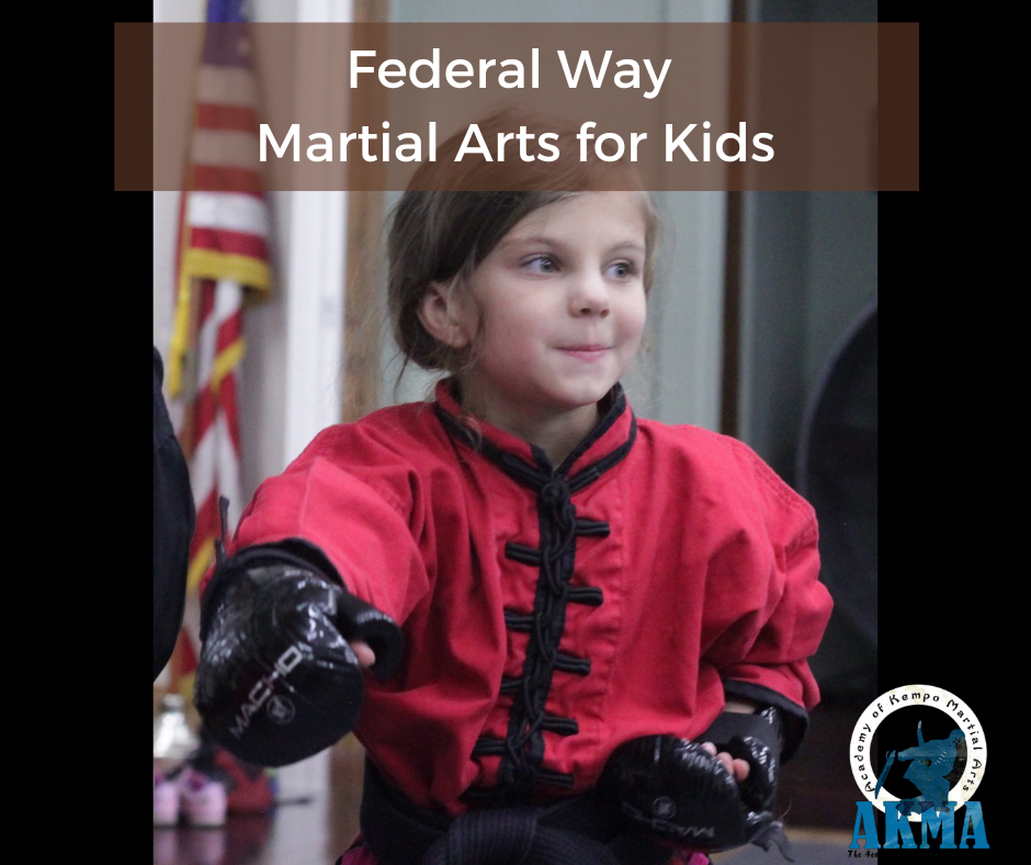 federal way karate school martial art kid looking confident