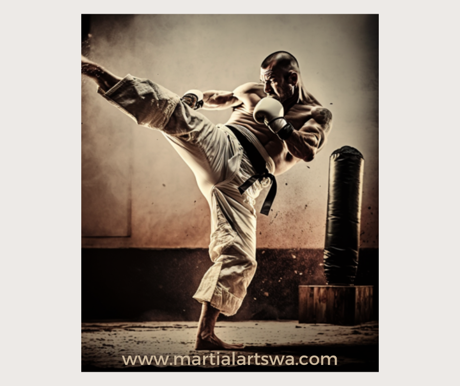 Karate Pose Stock Photos and Images - 123RF