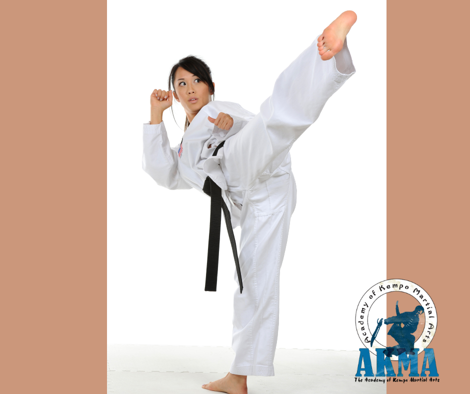 academy of kempo martial arts school high kicking student