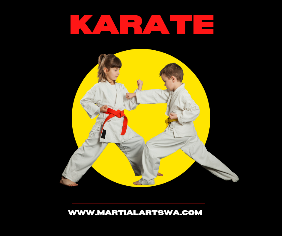 bellevue karate martial arts training for kids