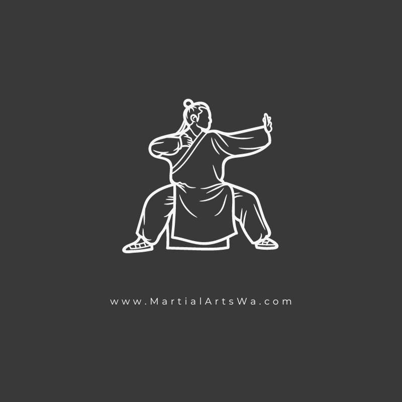 kung fu karate posture image for bellevue martial arts school