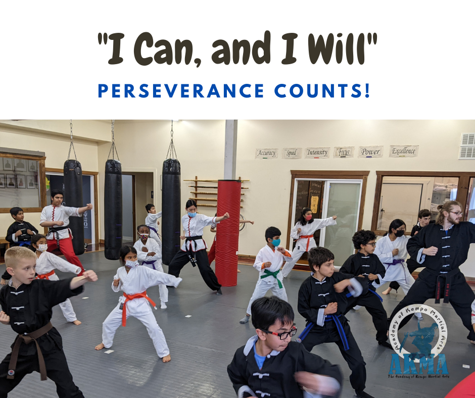 Martial arts teaching perseverance 