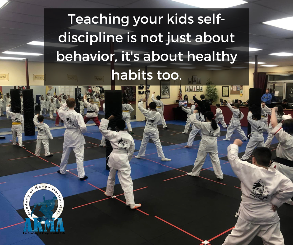 bellevue martial arts school teaches self-discipline akma karate